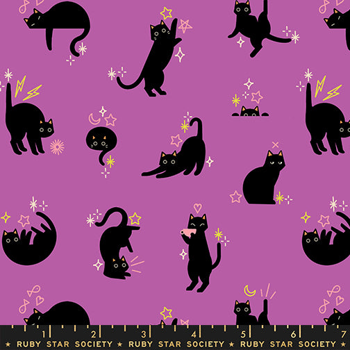 Ruby Star Society - Freaky Familiars - Catwalk - Witchy - RS519313