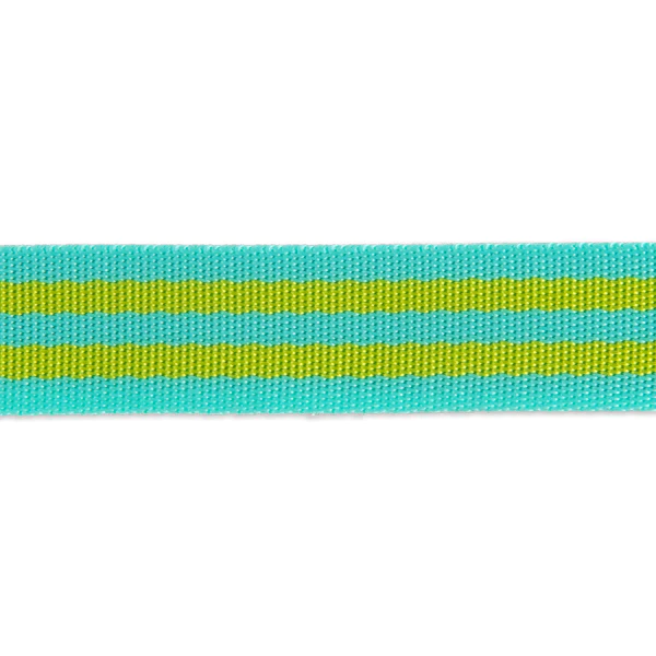 Tula Pink -Lime Zest- 1" Nylon webbing- double line
