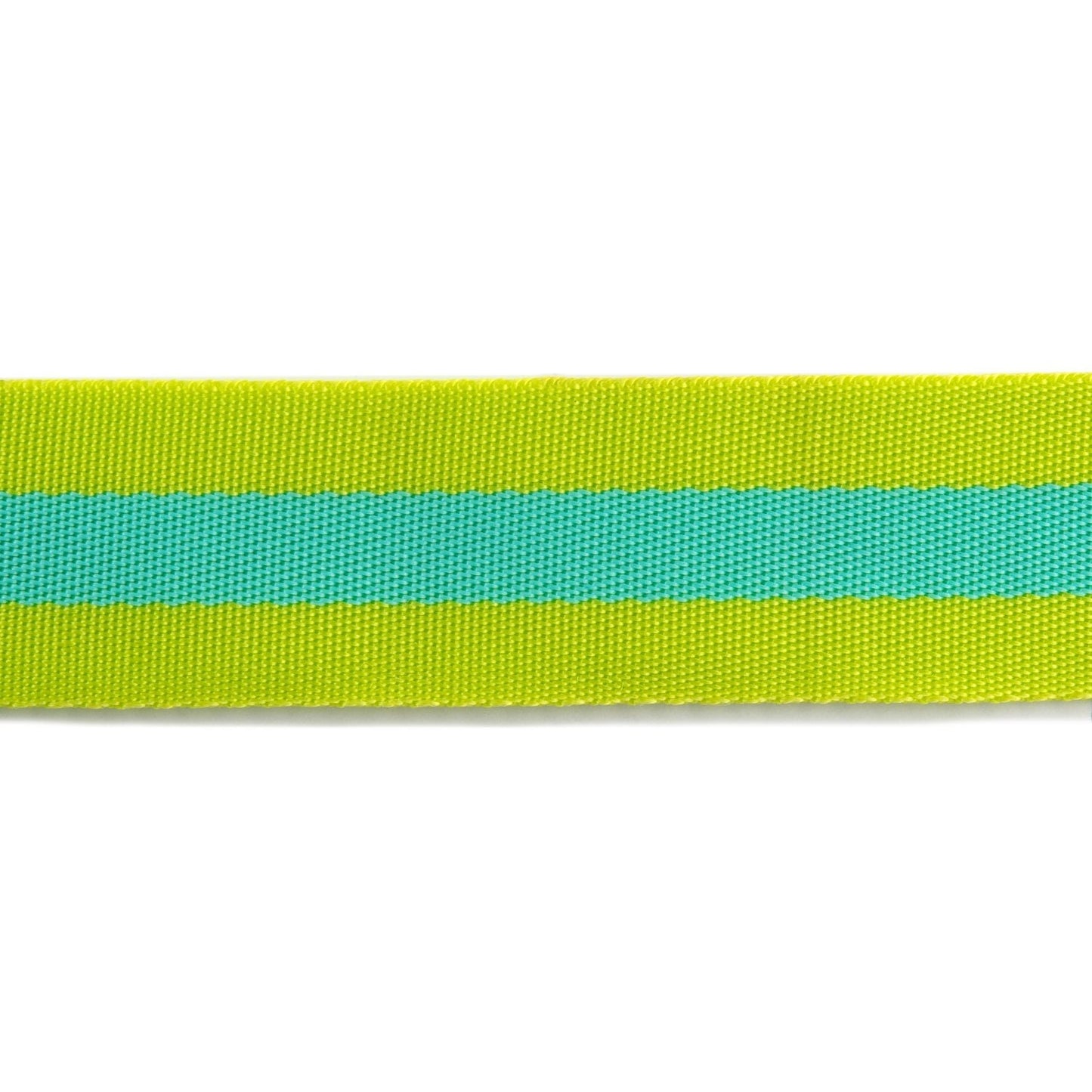 Tula Pink | Renaissance Ribbons | Lime and Turquoise | Tula Pink striped Nylon Webbing-1 1/2" wide Close up