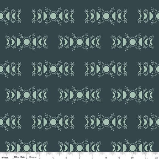 Riley Blake - The Apothecary - Celestial - Teal - C17552-TEAL