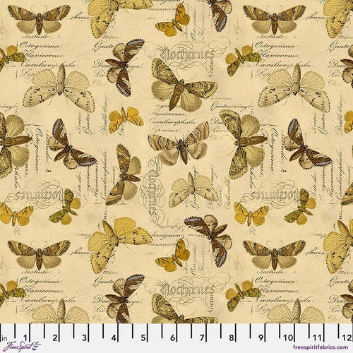 Palette Yellow Specimen - Tim Holtz - PWTH244.YELLOW