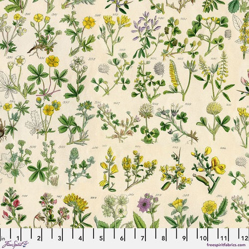 Palette Yellow Botanical - Tim Holtz - PWTH245.YELLOW