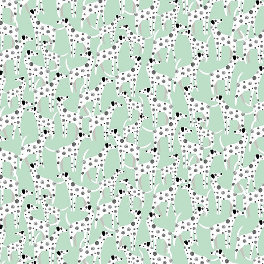 Mutts about you - Dear Stella - Dotty about You - Baltic - DSD3294BALTIC