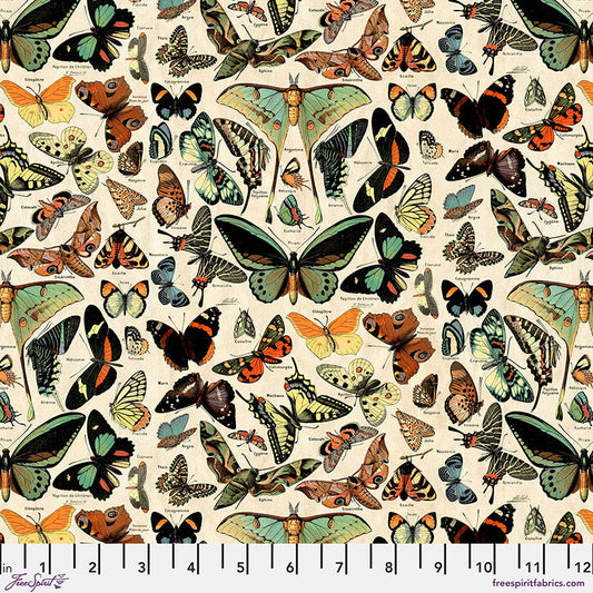 Palette Teal - Tim Holtz - PWTH276.TEAL