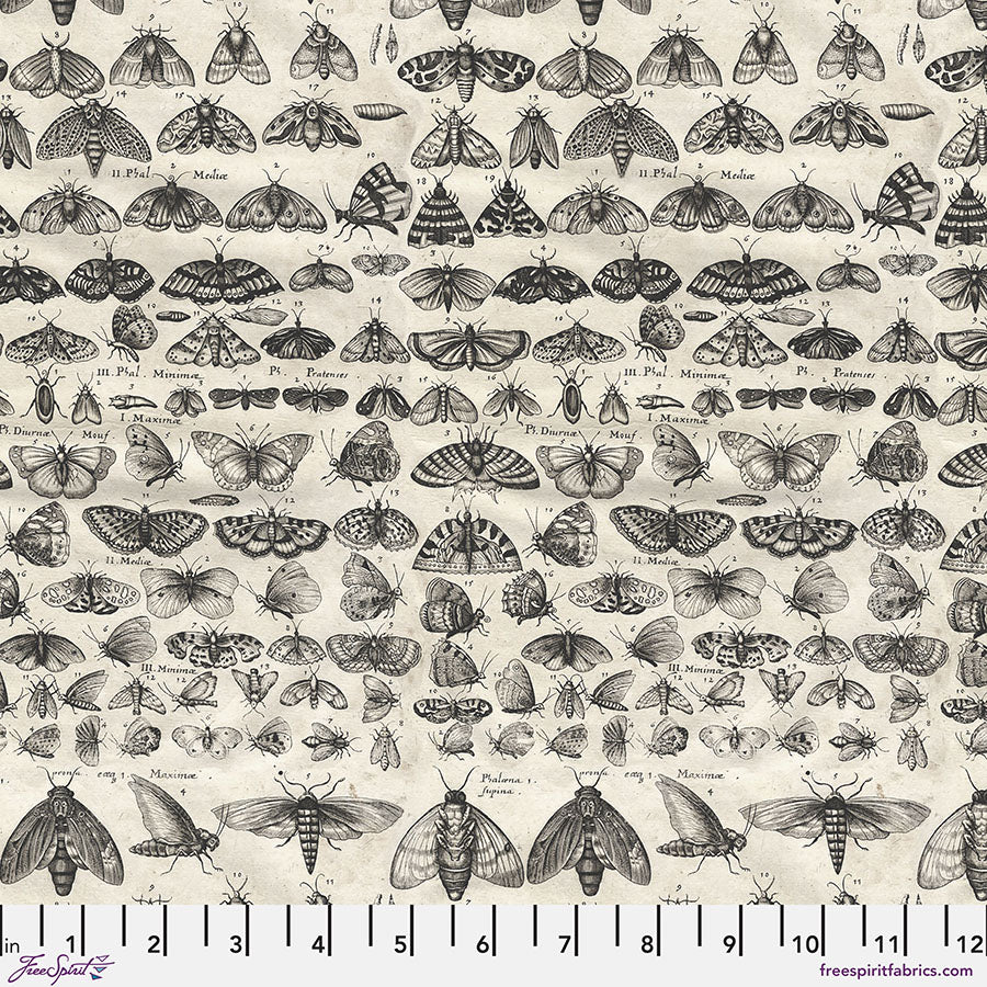 Palette Charcoal Moths - Tim Holtz - PWTH315.CHARCOAL