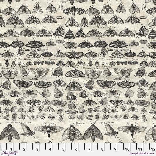 Palette Charcoal Moths - Tim Holtz - PWTH315.CHARCOAL