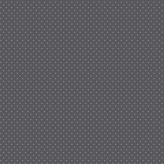 Tula Pink - Graywork - Tiny Dots - Carbon - PWTP185 - PRE ORDER