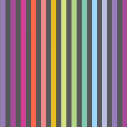 Tula Pink - Graywork - Disco Stripe - Carbon - PWTP231 - PRE ORDER