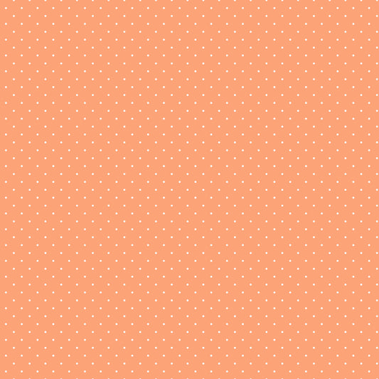 Tiny Dots & Tiny Stripes - Tula Pink - Peachy