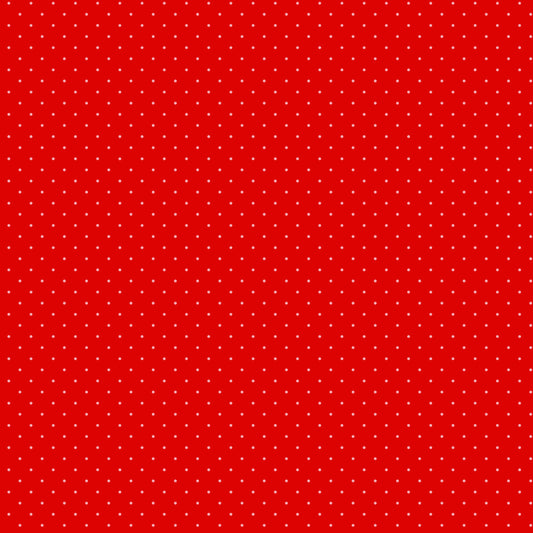 Tiny Dots & Tiny Stripes - Tula Pink - Watermelon