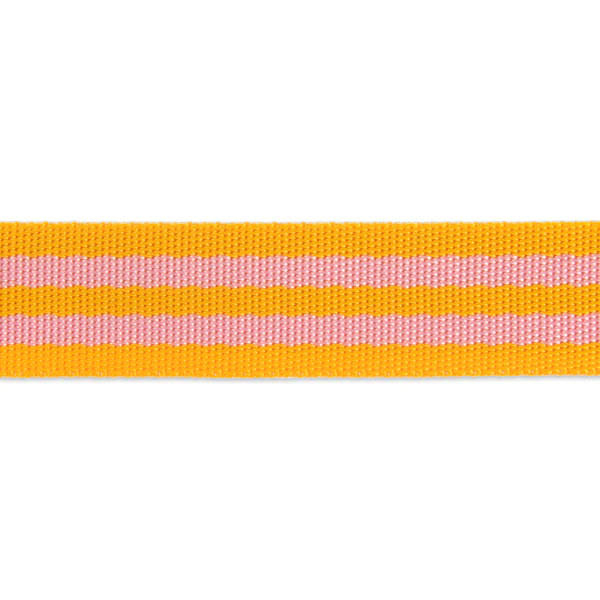 Tula Pink - Orange Fizz - 1" Nylon webbing-  double line