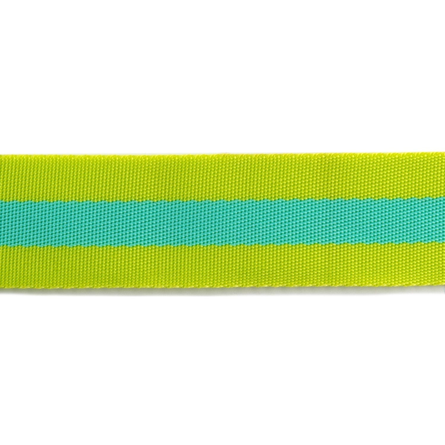 Turquoise sale nylon webbing