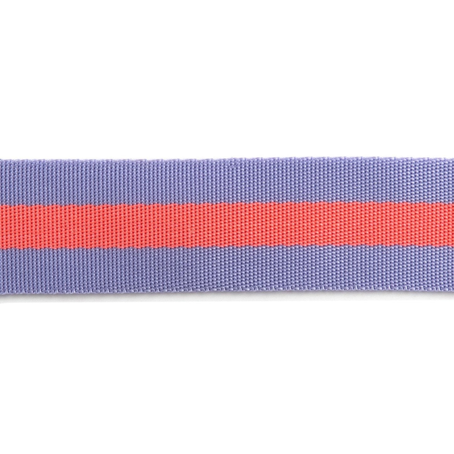 Tula Pink , Lavender with Neon Peach, striped Nylon Webbing-1 1/2" wide close up